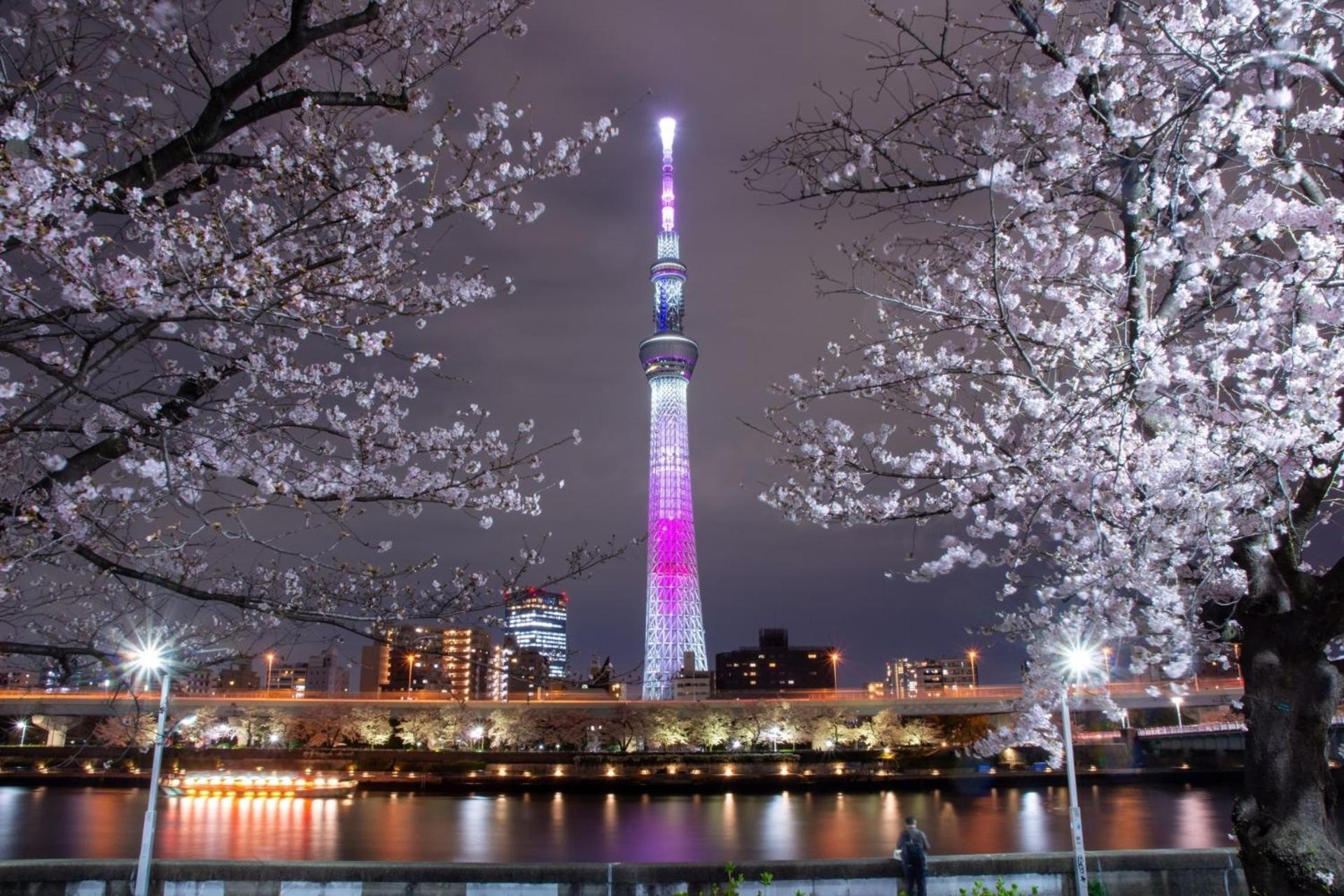 Stayme The Hotel Asakusa Riverside Tokyo Exterior photo